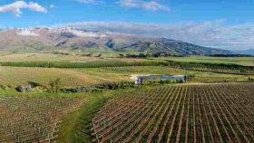 26b6ee6d-c9ce-4491-9c78-200550cbcd56.jpeg &nbsp;