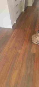 513896754_122106523226919218_5234015922771328278_n.jpg &nbsp;