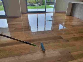 514266209_770330958653233_1381437646948825379_n.jpg &nbsp;