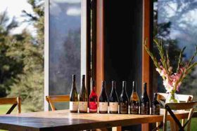 7ef2a377-6e46-4da3-9531-c695b5b2d4b4.jpeg &nbsp;